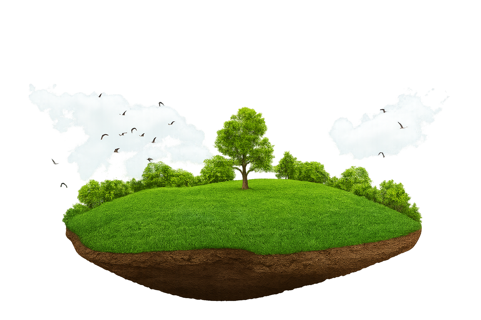 صورة الزراعة